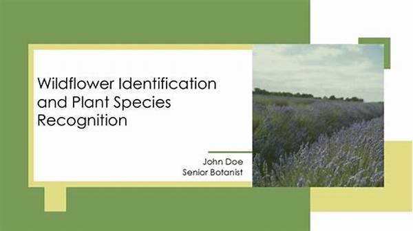 Outdoor Wildflower Recognition Techniques