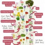 Perennial Flower Design Mastery