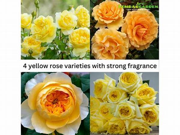 Popular Perfumed Floral Varieties