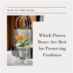 Preserving Cut Flower Freshness