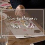 Preserving Flowers With Simple Techniques