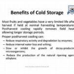 Preventing Wilting In Cold Storage