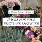 Prolonging Flower Display Lifespan