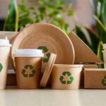Recyclable Flower Packaging Alternatives