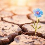 Resilient Flowers For Continuous Beauty