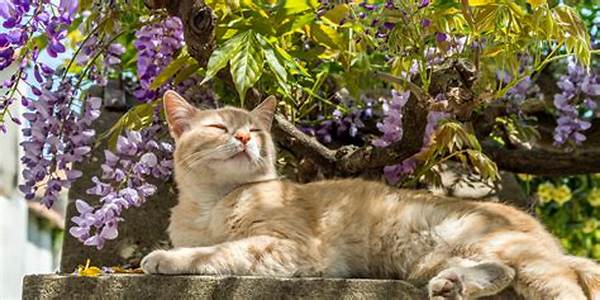 Safe Gardening Choices For Cat Owners
