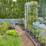 Simple Garden Layout Strategies