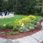 Simple Garden Plants For Novices