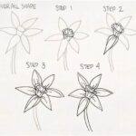 Step-by-step Flower Decorating Guide