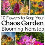 Strategies To Keep Flowers Vibrant