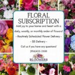 Subscription Floral Delivery Plans