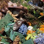 Sustainable Floristry Education Programs