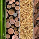 Sustainable Materials For Floral Deliveries