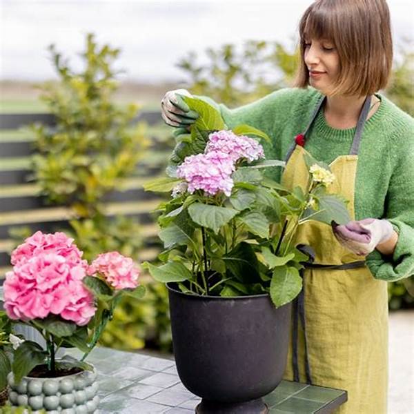 Tailored Nutrients For Florist Quality Blooms