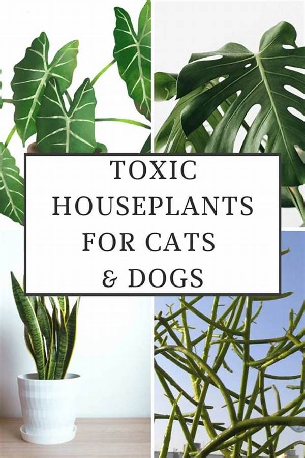 Toxic-free Foliage For Pets