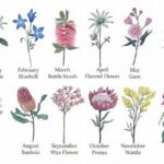 Understanding Native Floral Characteristics