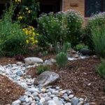 Xeriscape Garden Flower Options