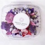 Zero-waste Flower Delivery Packaging