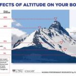 Altitude Effects On Blooming Cycles.