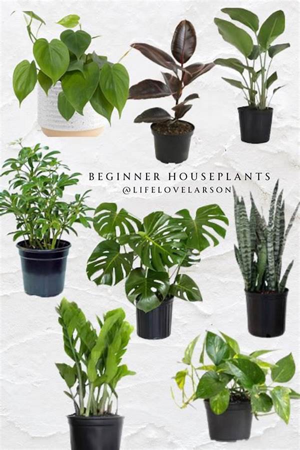 Best Beginner-friendly Potted Plants