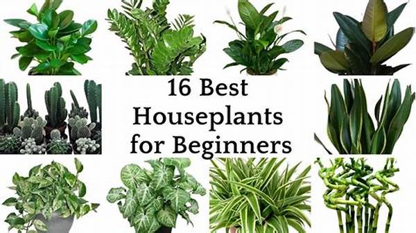 Best Indoor Plants For Beginners
