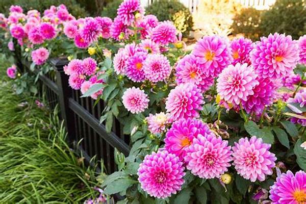 Cat-safe Blooming Plant Varieties