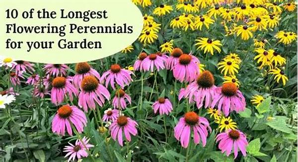 Continuous Flowering Garden Perennials