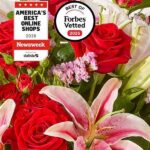 Discount Flower Delivery For Occasions