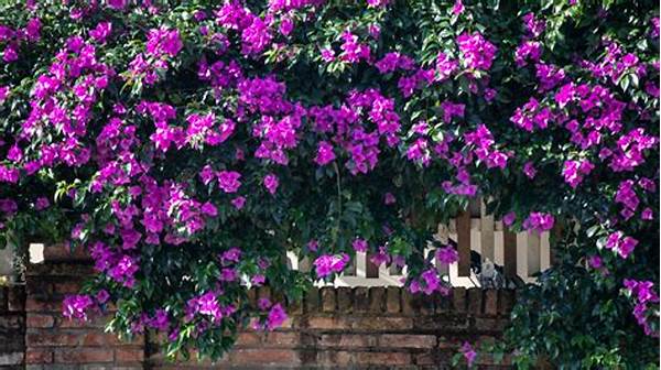 Drought-tolerant Flowering Vines