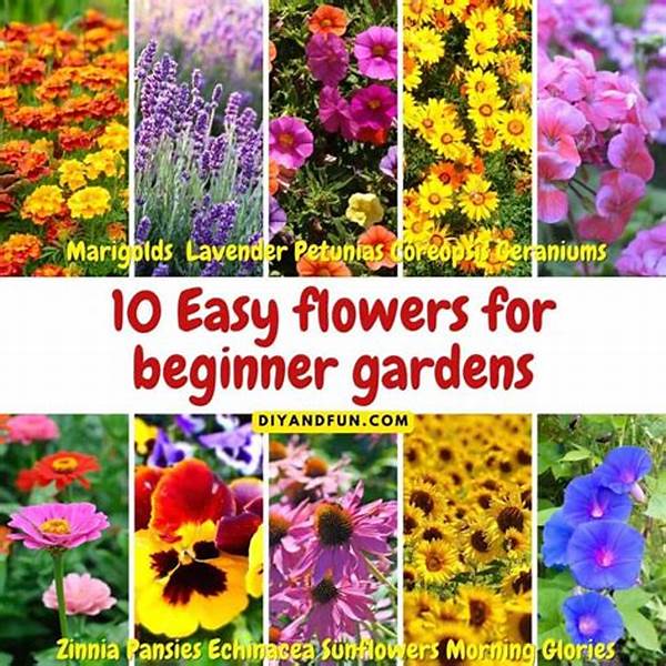 Easy Garden Flowers For Beginners