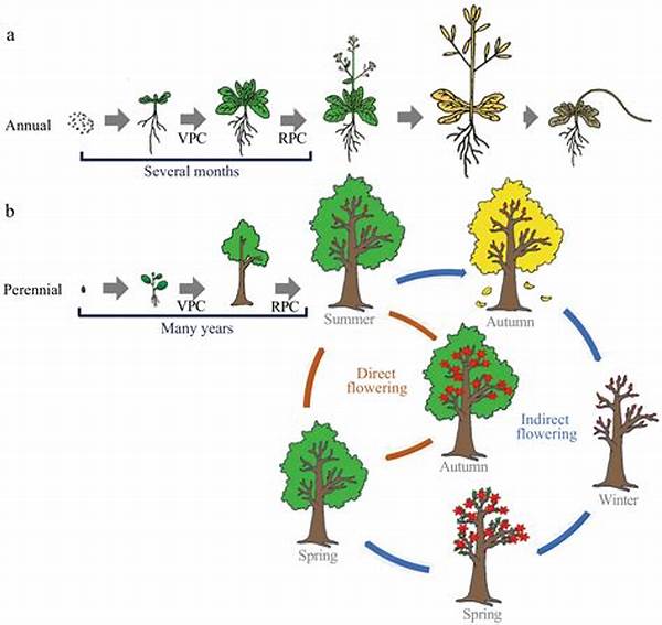 Effects Of Elevation On Flower Phenology.