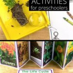 Engaging Flower Projects For Early Learners