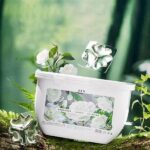 Ensuring Long-lasting Floral Freshness