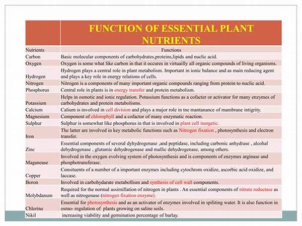 Essential Nutrients For Flower Longevity