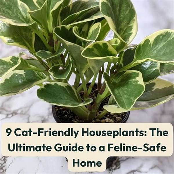 Feline-safe Outdoor Plant Options