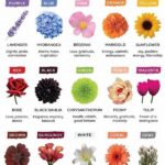 “flowers And Their Color Meanings”