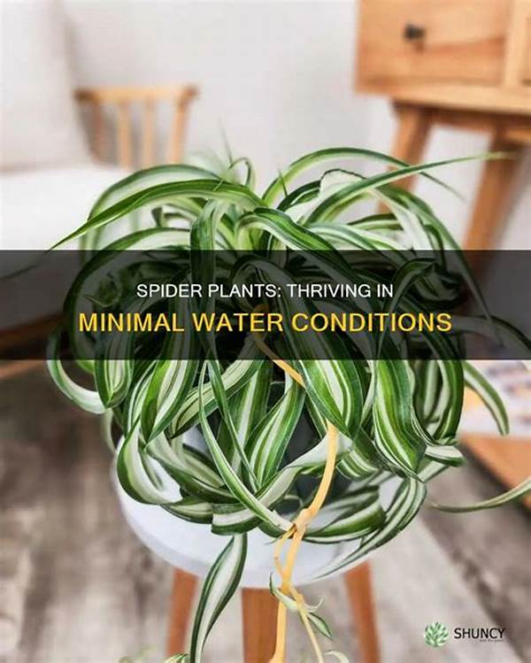 Flowers Thriving With Minimal Water