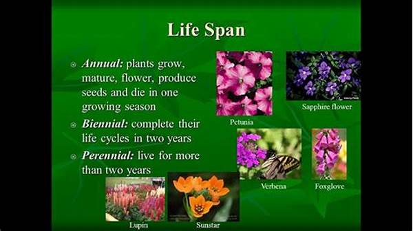 Flowers With Extended Life Span
