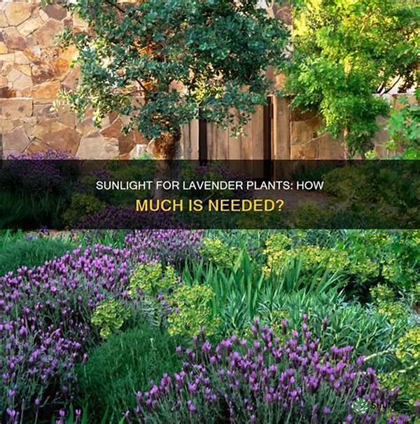 Ideal Sunlight Hours For Flower Growth