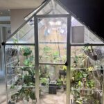 Indoor Greenhouse Floral Solutions