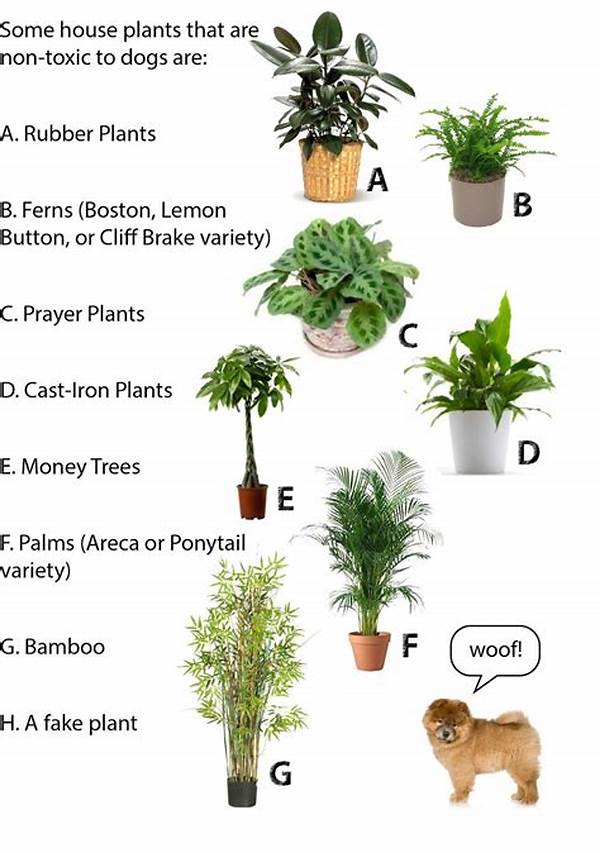Indoor Plants Safe For Animals