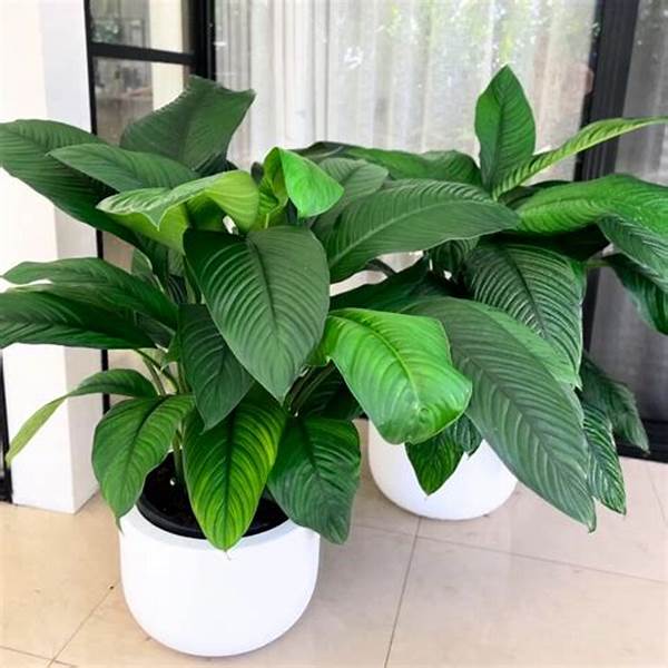 Indoor Plants Suitable For Kids
