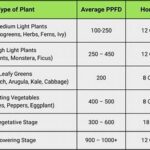 Light Levels For Fresh Floral Growth