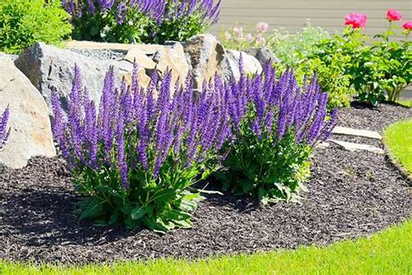 Long-lasting Blooms With Natural Methods