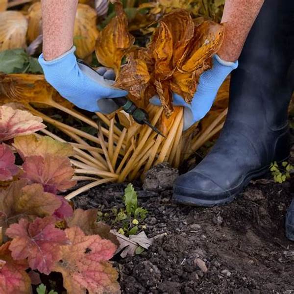 Managing Insects In Winter Flowerbeds