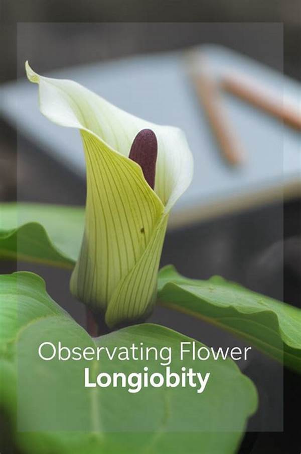 Methods To Enhance Flower Color Longevity