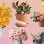 Monthly Flower Delivery Service