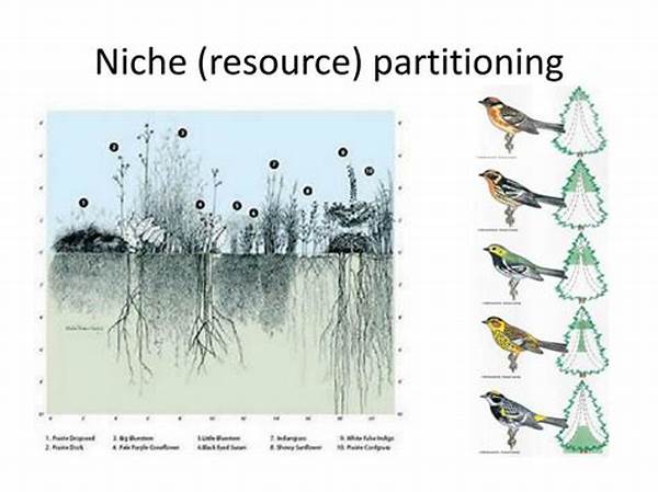 Niche Partitioning In Plant Communities