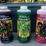 Nutrient Solutions For Vase Flowers