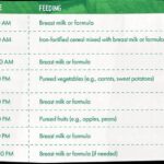 Optimal Feeding Schedule For Blooms